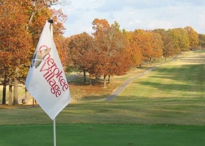 Close Up of a Golf Course Flag with Course in Background