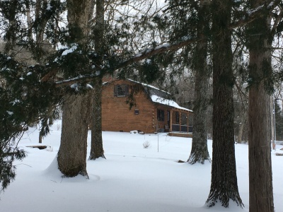 Star Falls Cabin #2